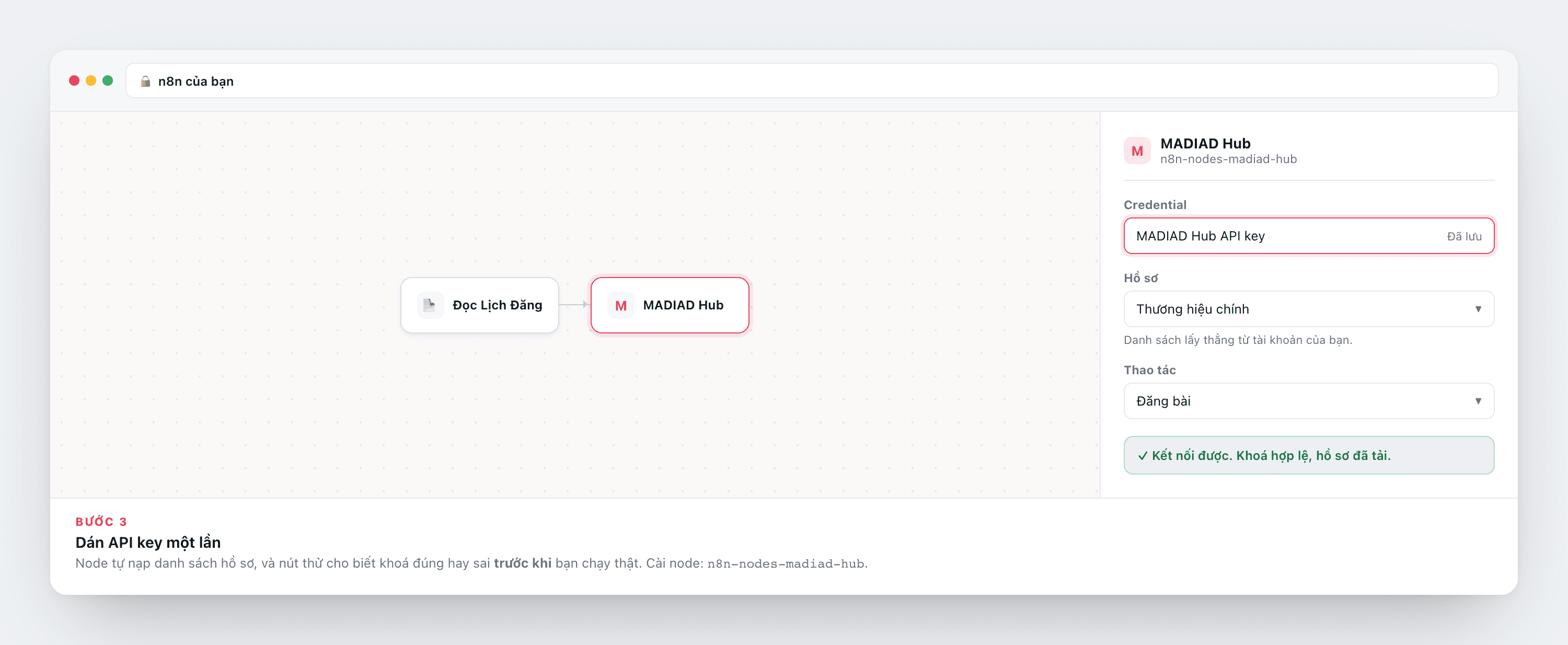 Bước 3: Dán API key một lần